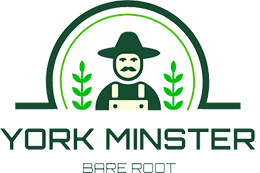 Bare Root Sales Shop