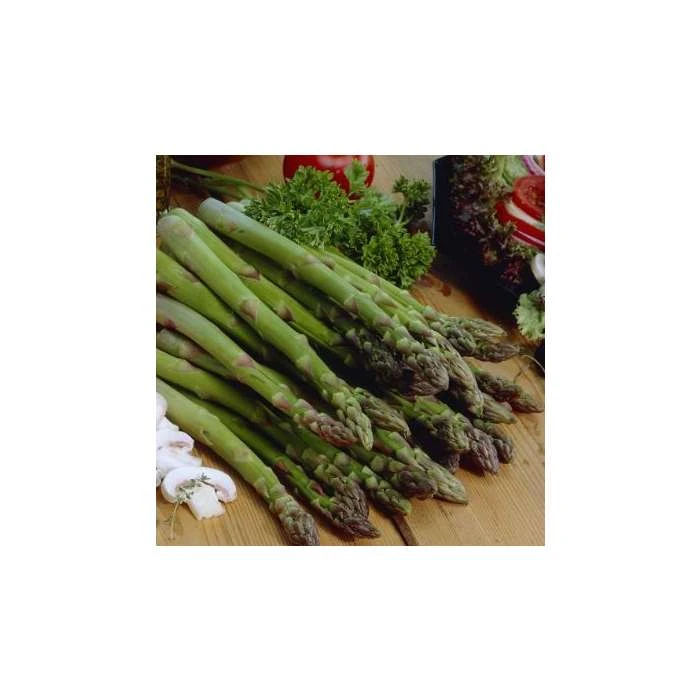 20-30cm 5 x Asparagus Backlim Bare Root 3 20-30cm 5 x Asparagus Backlim Bare Root