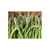 20-30cm 5 x Asparagus Guelph Millennium Bare Root