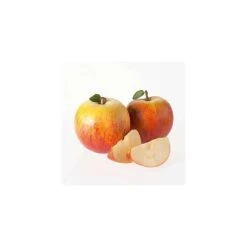 Full Season Apple Tree Collection -Bare Root Sales Shop TRCOL01 add image 2 1ca7